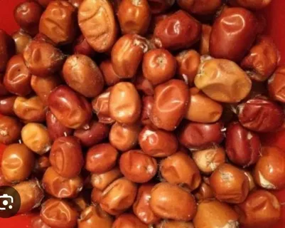 تصویر 3 از خرید سنجد صادراتی + قیمت عالی با کیفیت